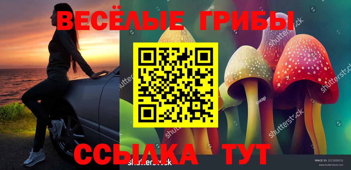 Галлюциногенные грибы ЛСД Новый Уренгой